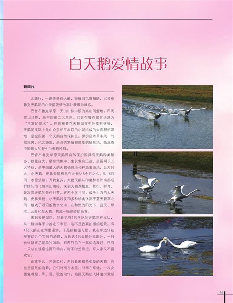 02.jpg